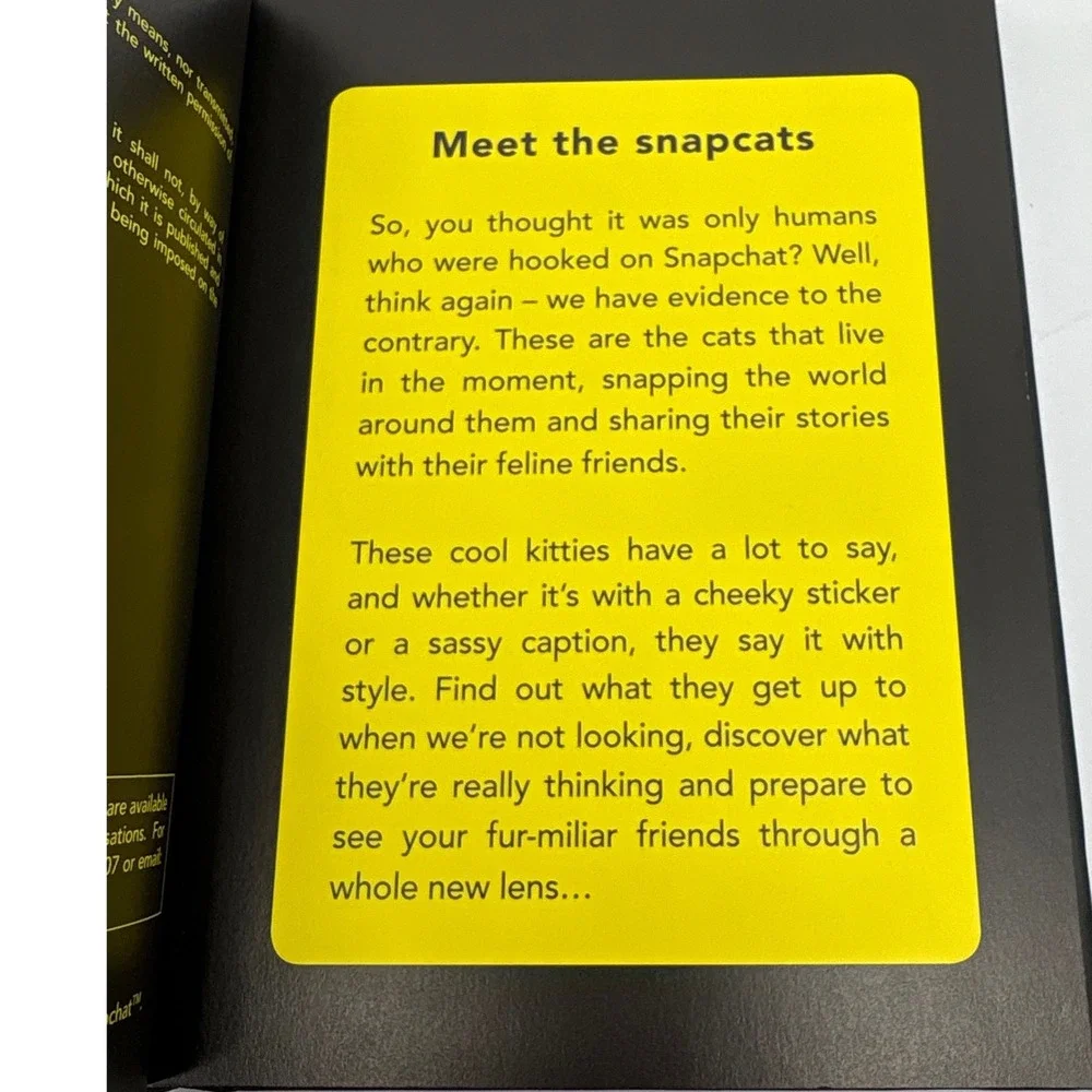 Snapcat Book Rosie Ryder Cats That Love To Snap‎ Chat Photography Humor Book